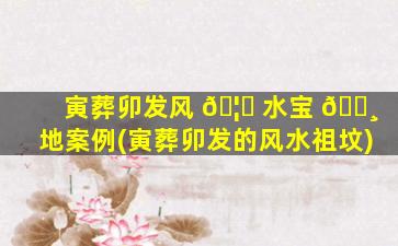 寅葬卯发风 🦉 水宝 🕸 地案例(寅葬卯发的风水祖坟)
